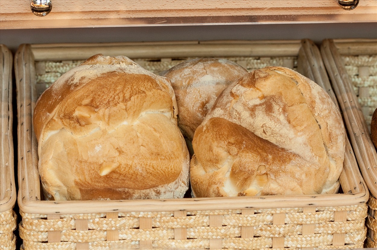 Pane1462.jpg
