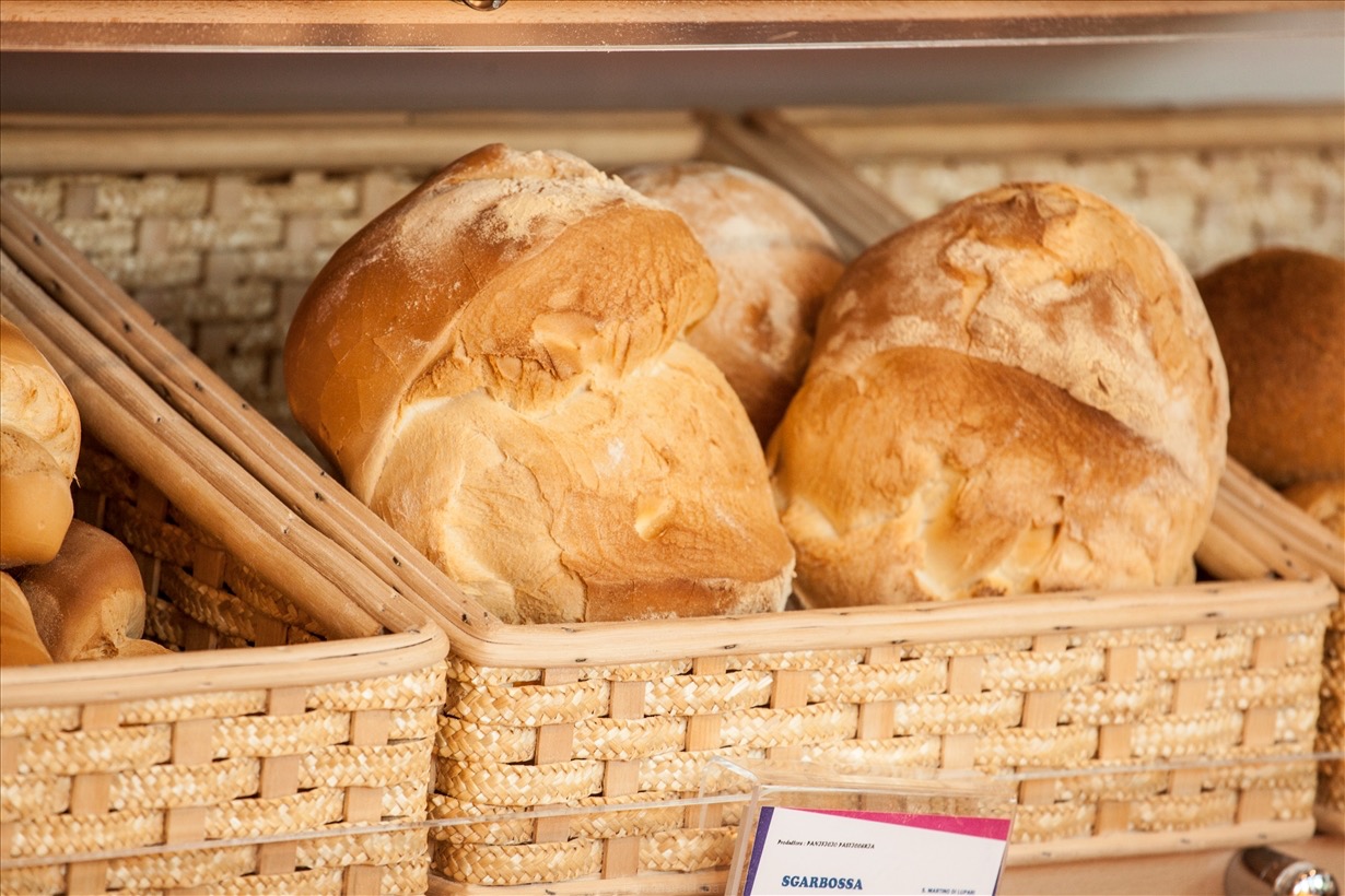 Pane1486.jpg