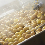 Frittelle021.jpg