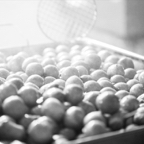 Frittelle091.jpg